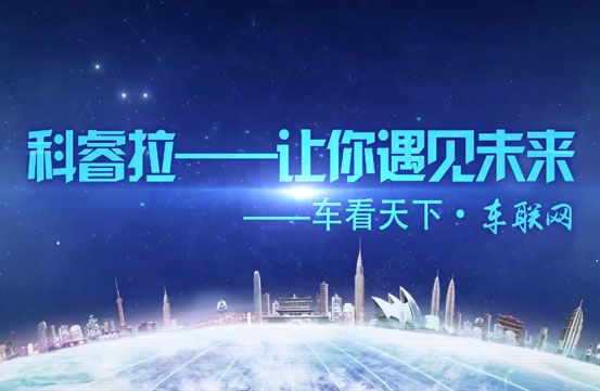 四川省科睿拉信息技术有限公司